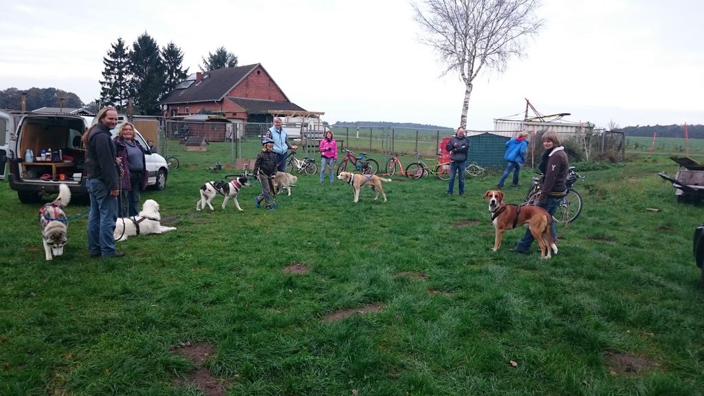 Camper à la ferme des huskies dans un endroit absolument isolé