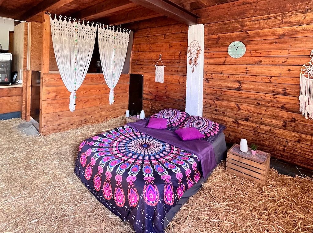 Pasar la noche cerca de la naturaleza en el salón de las alpacas