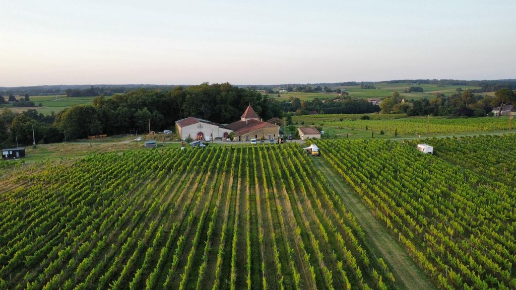  Ein Ort inmitten von Weinbergen, in der Nähe von Bordeaux