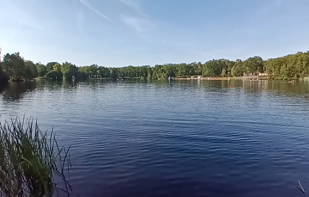 Campeggio naturale presso un idilliaco lago nel bosco 