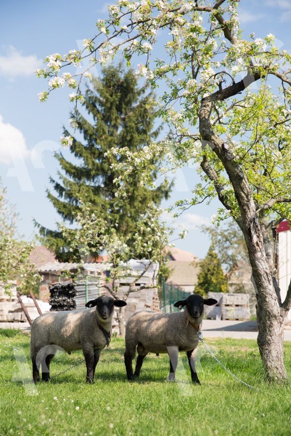 Platz Weitblick beim Winzer