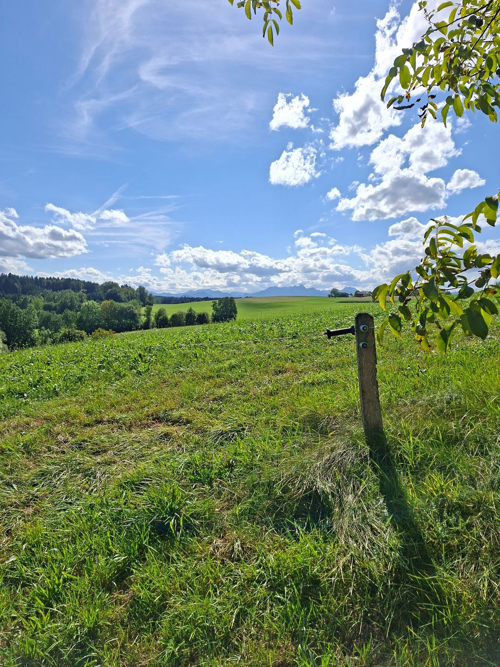 Stellplatz in Alleinlage mit schönem Weitblick