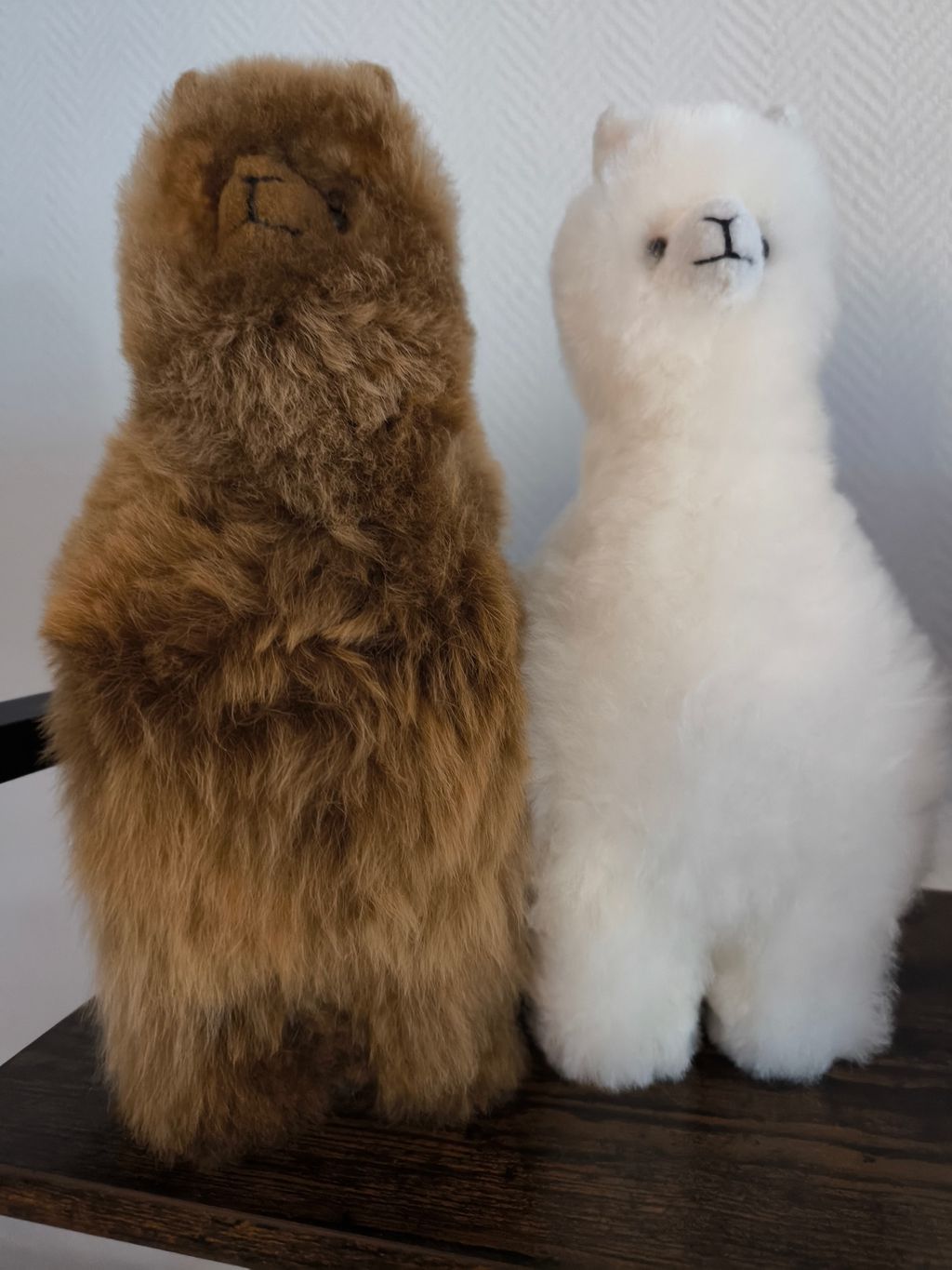 Disfrute y relájese en la granja de alpacas
