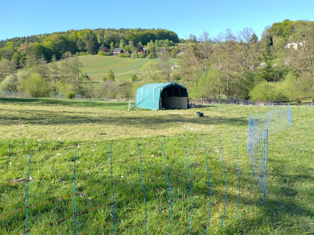 Camping au milieu des moutons : un cadre idyllique dans le massif du Knüll