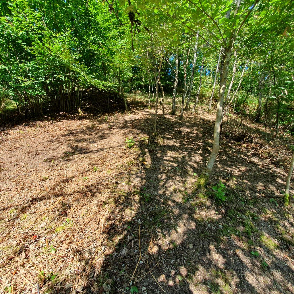 Terrain de camping "Räuberhöhle" dans le nord de la Forêt-Noire