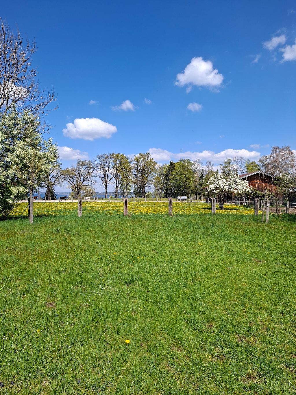 A solo 100 metros del lago Chiemsee: parcela en una granja