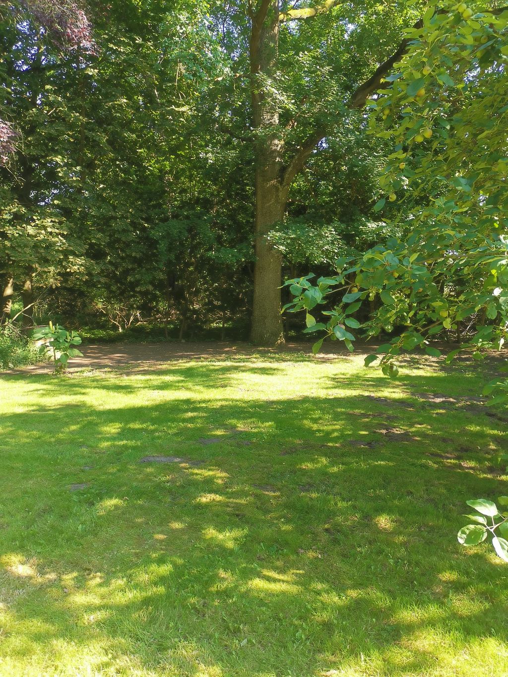 Campeggio con giardino ai margini orientali della brughiera di Lüneburg