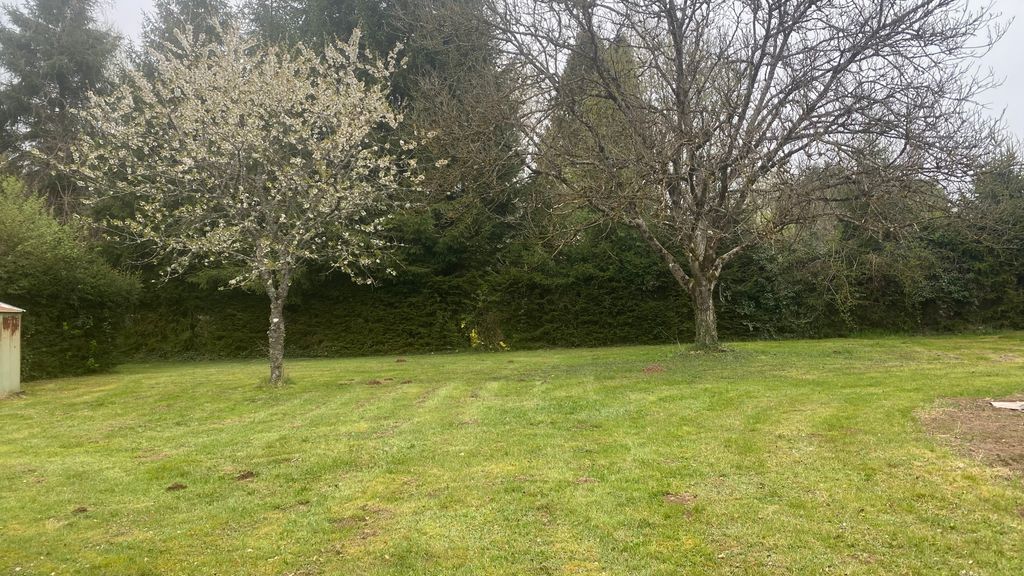 Terreno con aspecto de parque, con sauna y jacuzzi