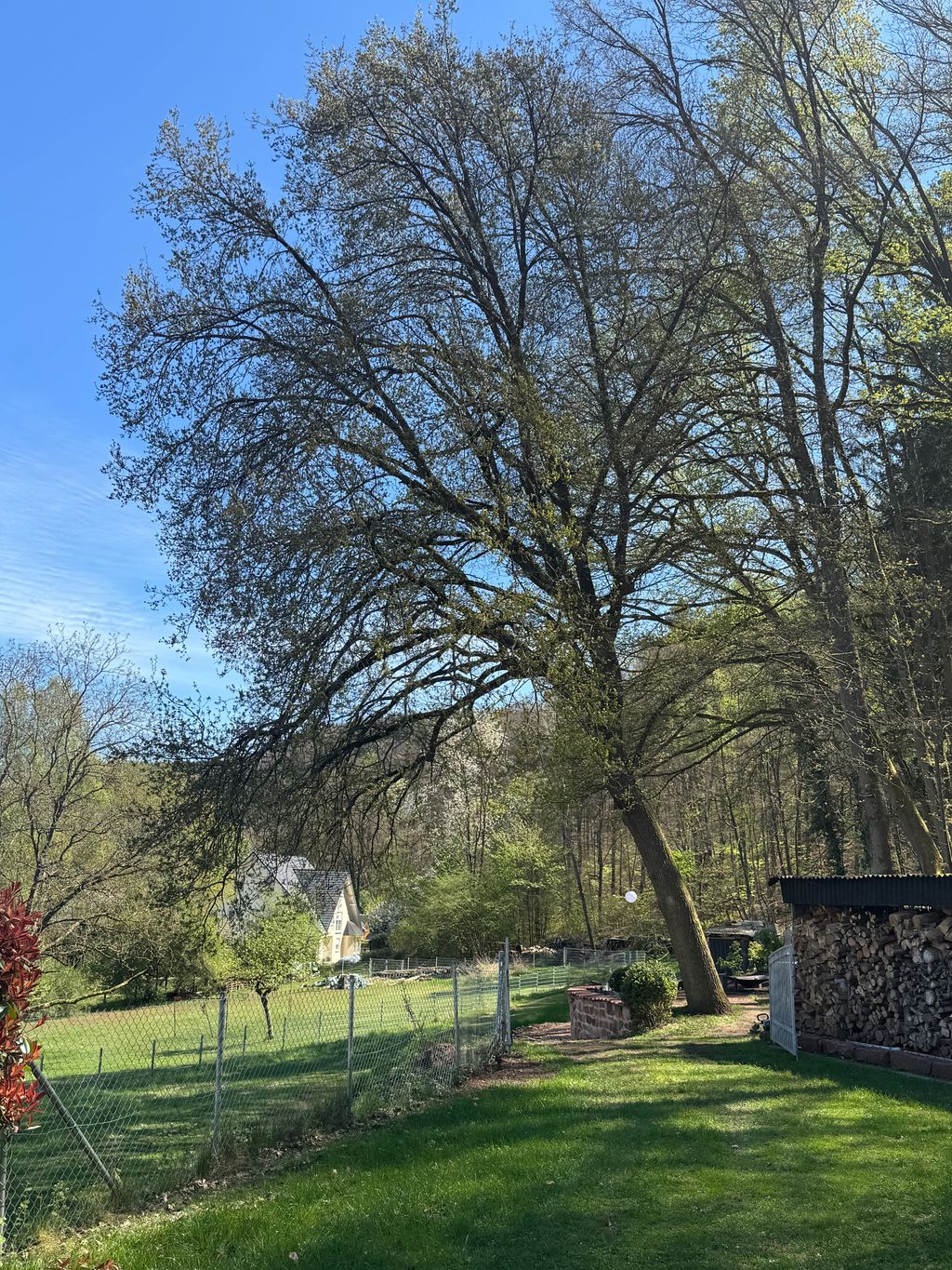 Naturnahes Campen am Pfälzer Wald 