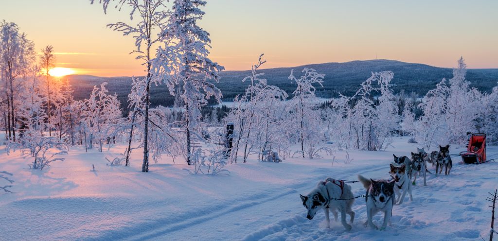 Absolute Outdoor Abenteuer - Kabine in Lappland