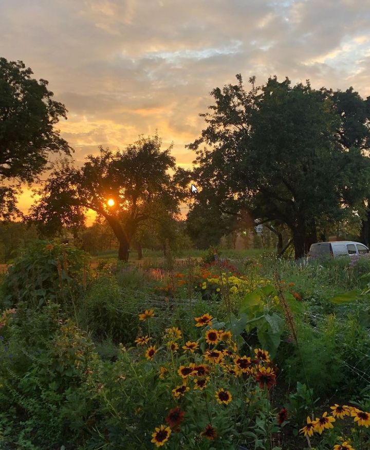Camping for garden lovers in the foothills of the Alps