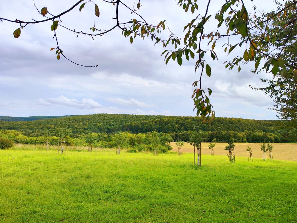 Large orchard meadow in the Weserberg(hinter)land