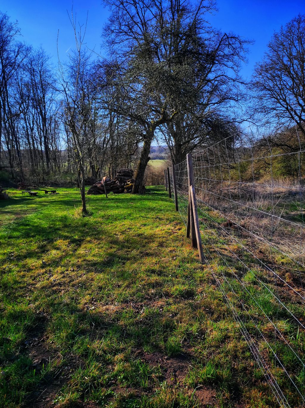 Ein Platz im Grünen unter einem Walnußbaum