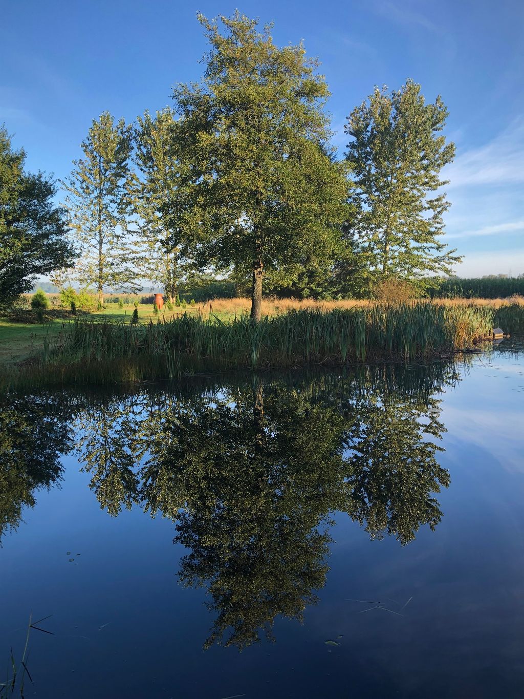 Camper paradise in Give: nature, peace and comfort