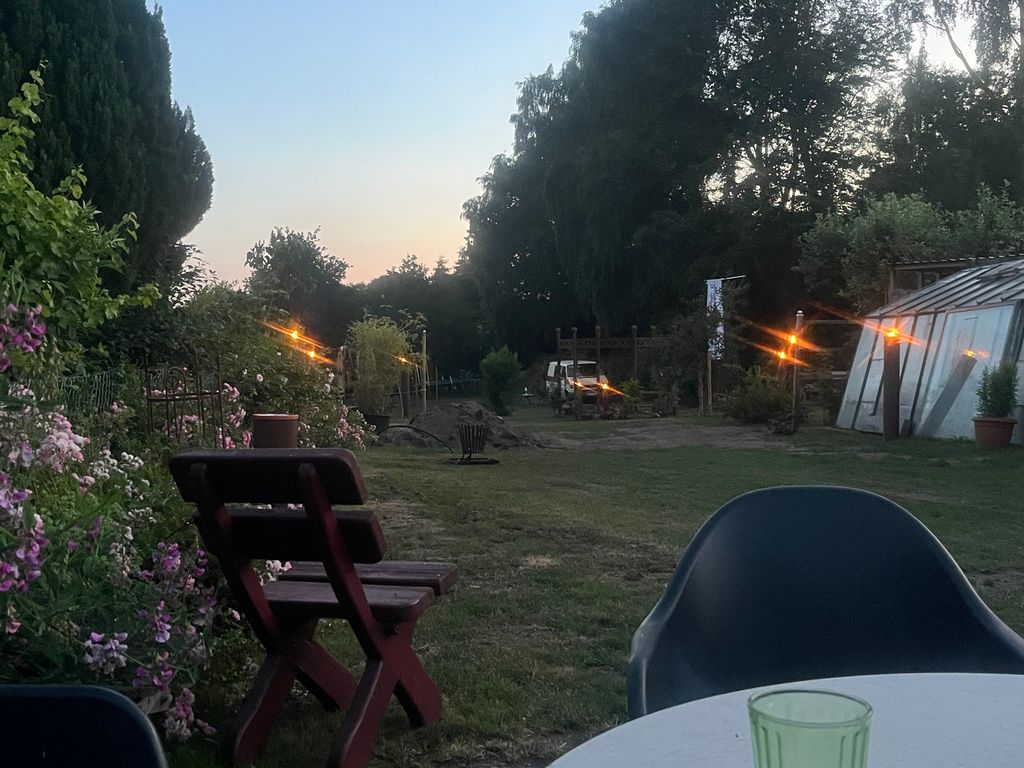 Accogliente accampamento sotto le betulle