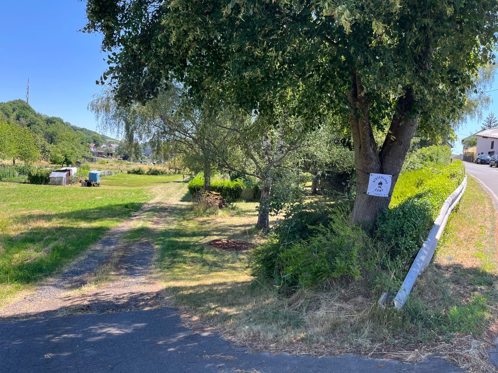 Gartencamping unterm Altbaumbestand: Natur pur