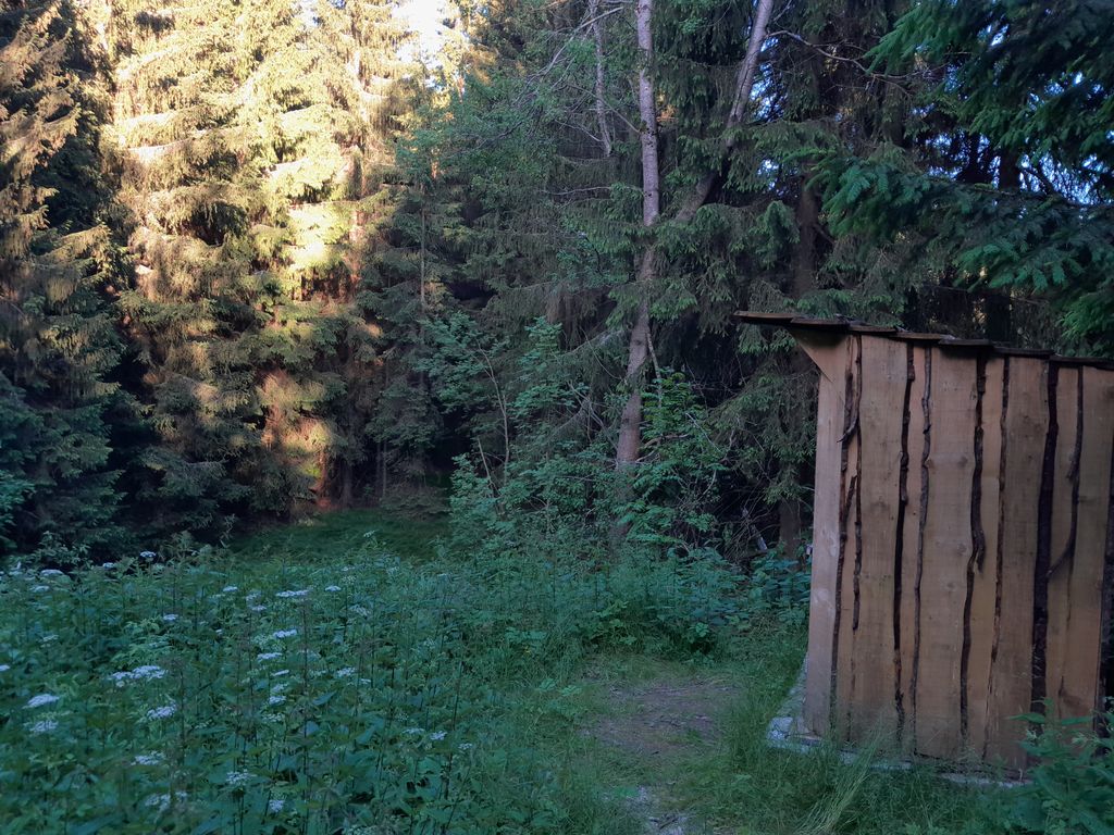 Stream and scattered settlement on the Czech border