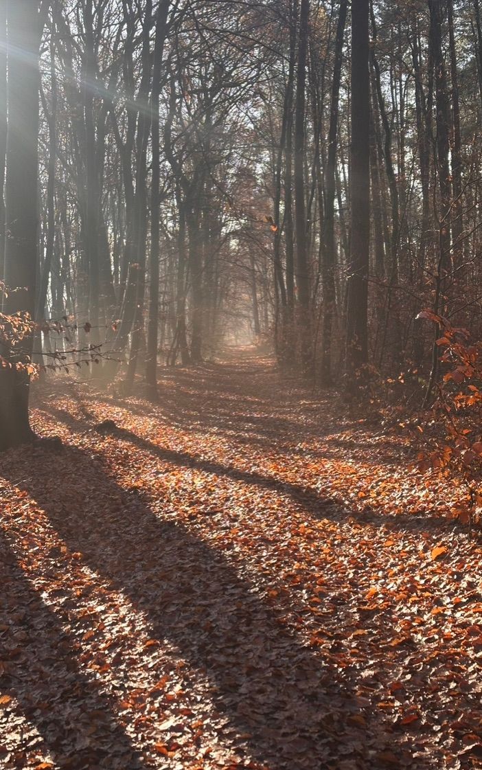 Iglucraft dans le parc naturel de Wendland, près de l'Elbe