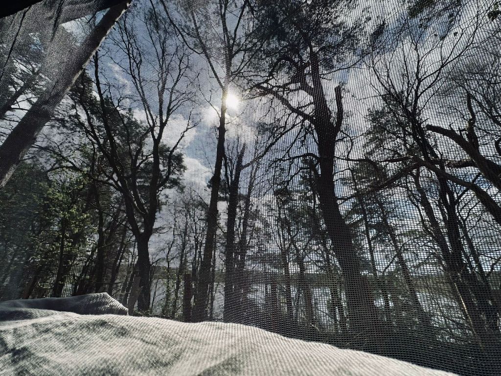 Parcelas forestales junto al agua en el Ruppiner Seenland