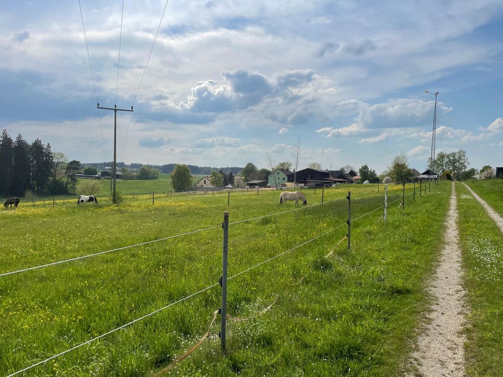 Wiese mit wundervollem Ausblick und Schwimmteich