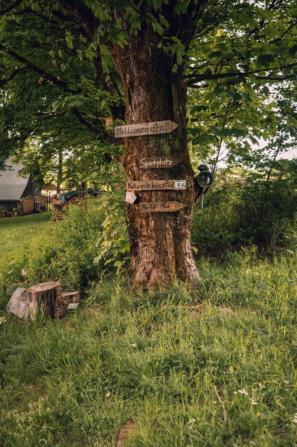Casa minuscola nella Foresta della Franconia, proprio ai margini del bosco