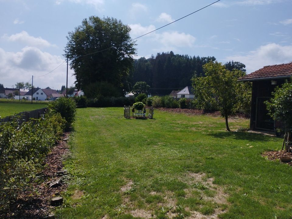 Large garden in the middle of nature