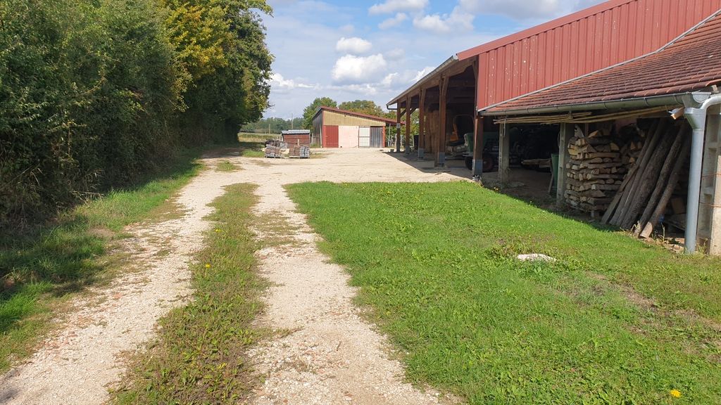 Aire de camping-car avec des chevaux en arrière-plan