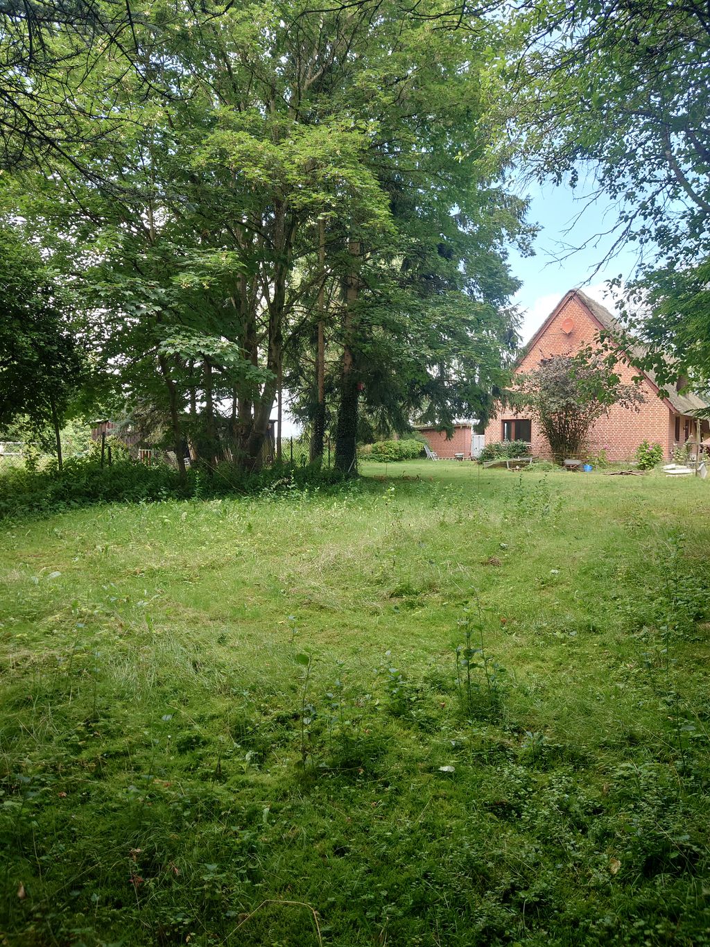 Vacaciones en la Suiza de Holstein en un lugar aislado
