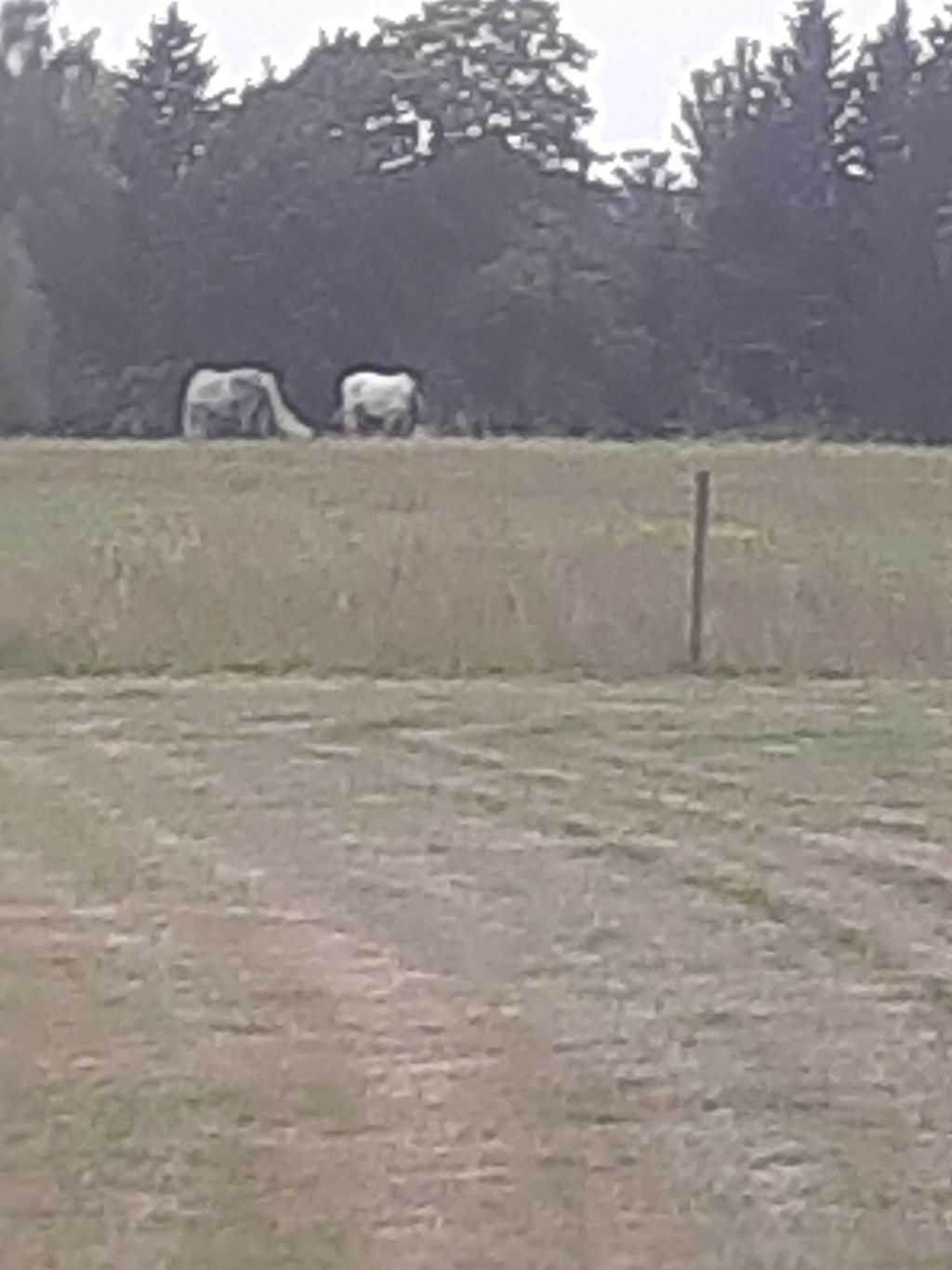 Un camping idyllique dans la belle région de Havelland