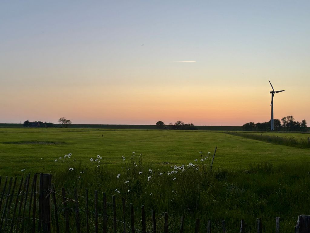 Naturstellplatz an der Nordsee - ruhig & idyllisch