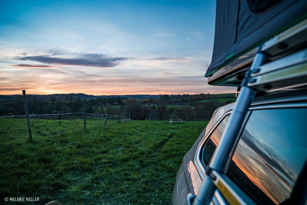 Meadow pitches on organic farm