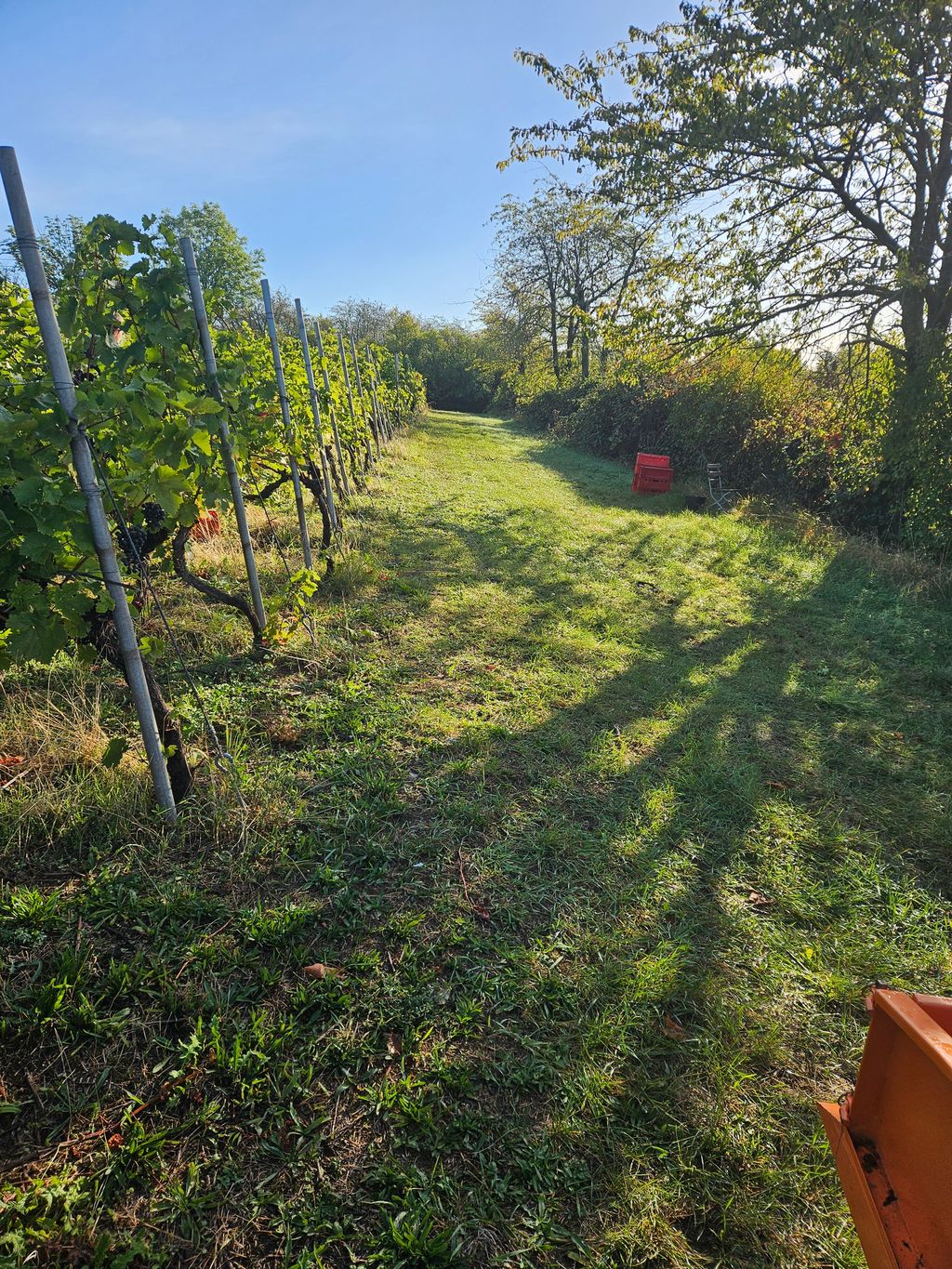 Camping en la bodega del valle del Elster