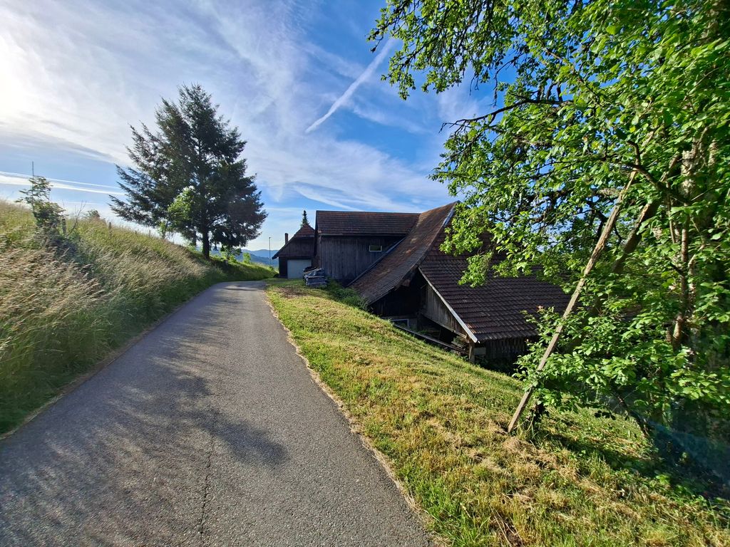 Pitch in the mountains with a view of the Alps