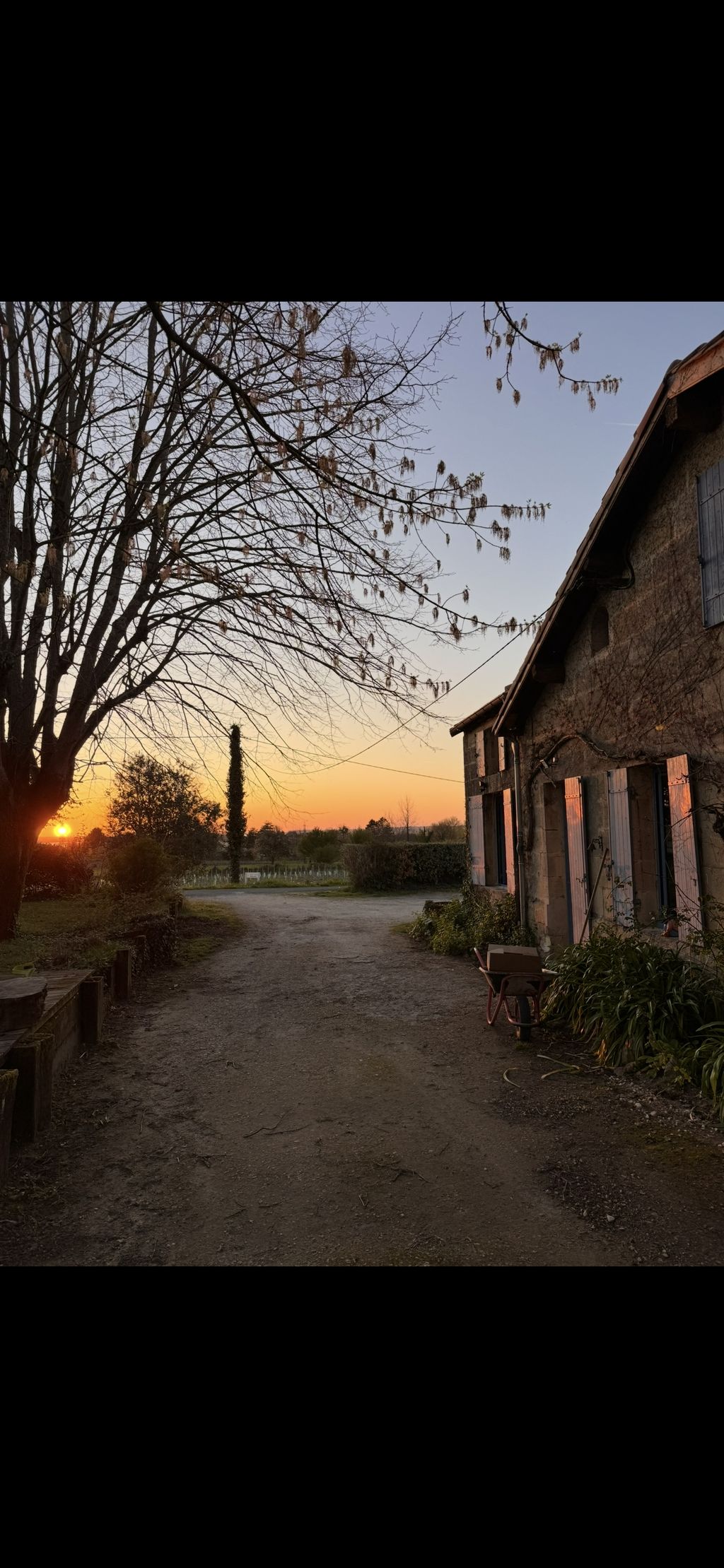 Dégustation & Nuit en Plein Cœur des Vignes