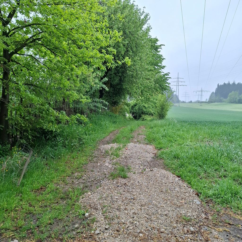 Una notte in campagna vicino al pollaio
