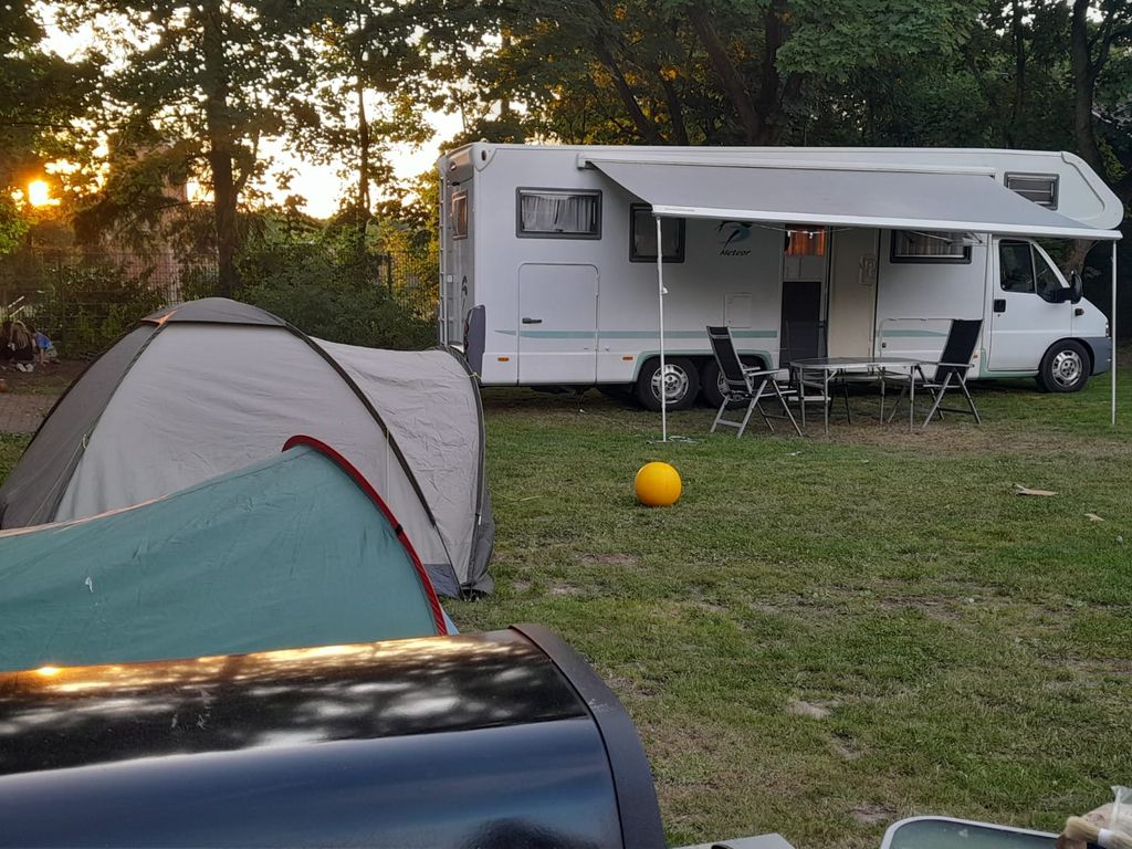 Camping en la naturaleza en una granja con ovejas y gallinas