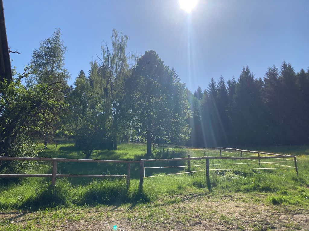Absolute Alleinlage im Allgäu