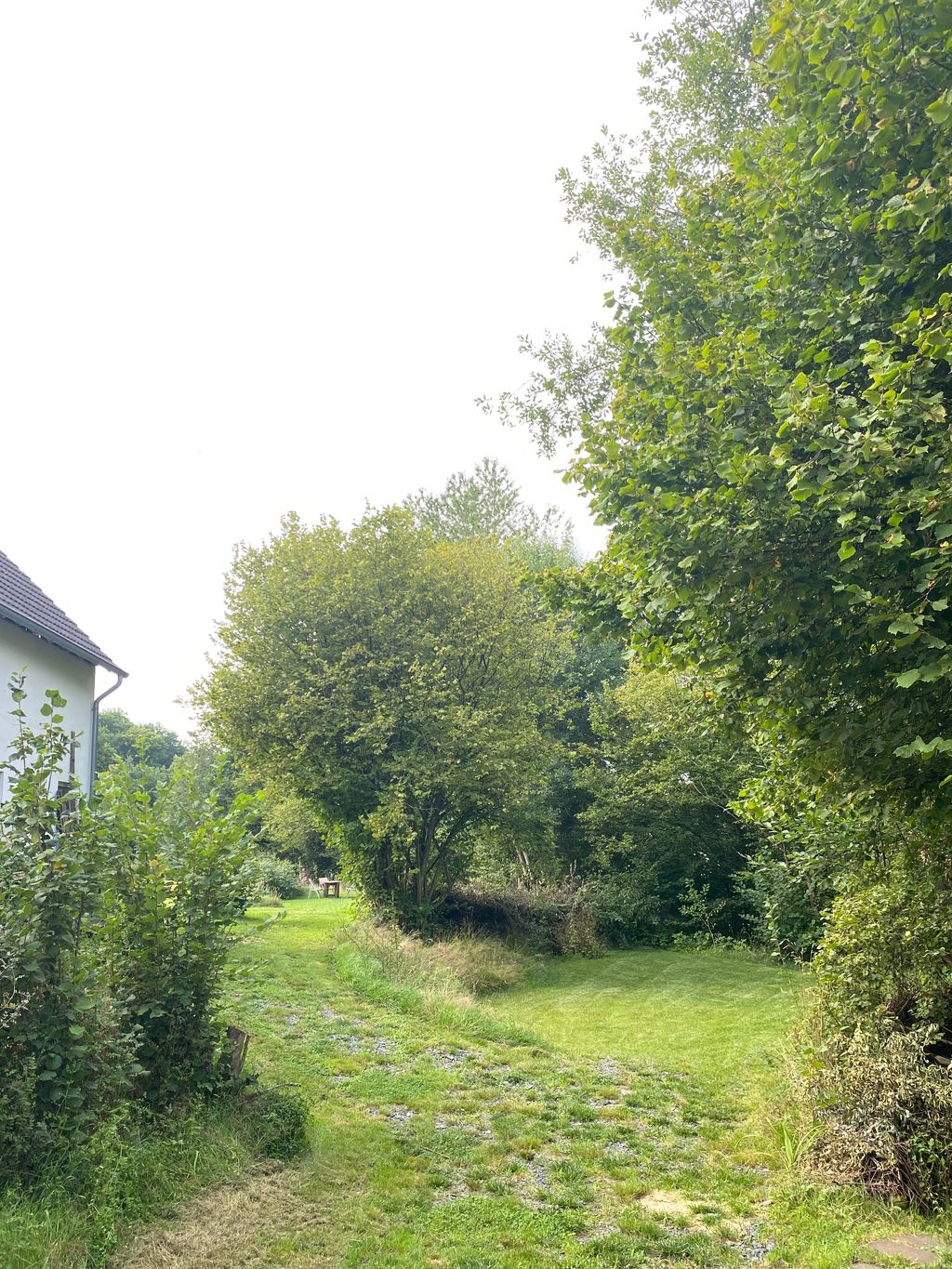 Un posto migliore nel Westerwald - una meravigliosa pace e tranquillità