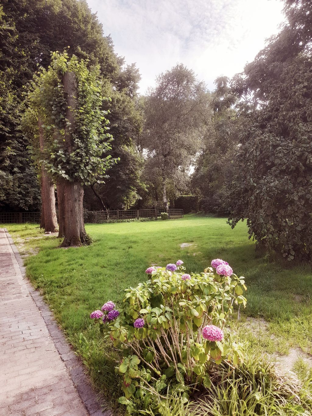 Pitch in the garden at the park in East Frisia