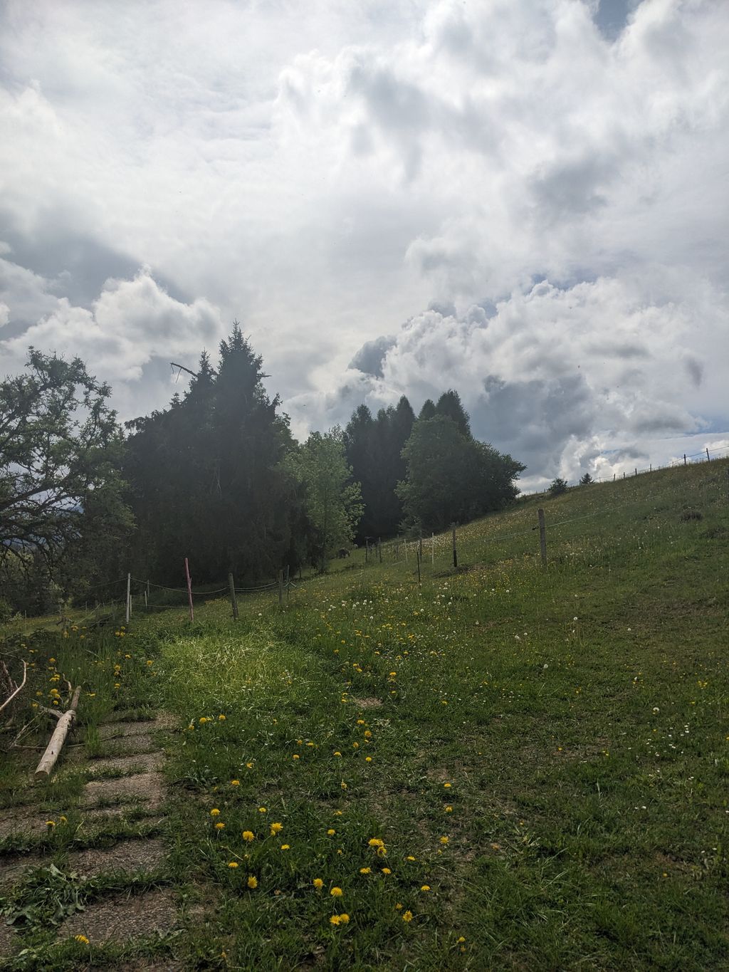 Emplacement à la ferme, près des chevaux
