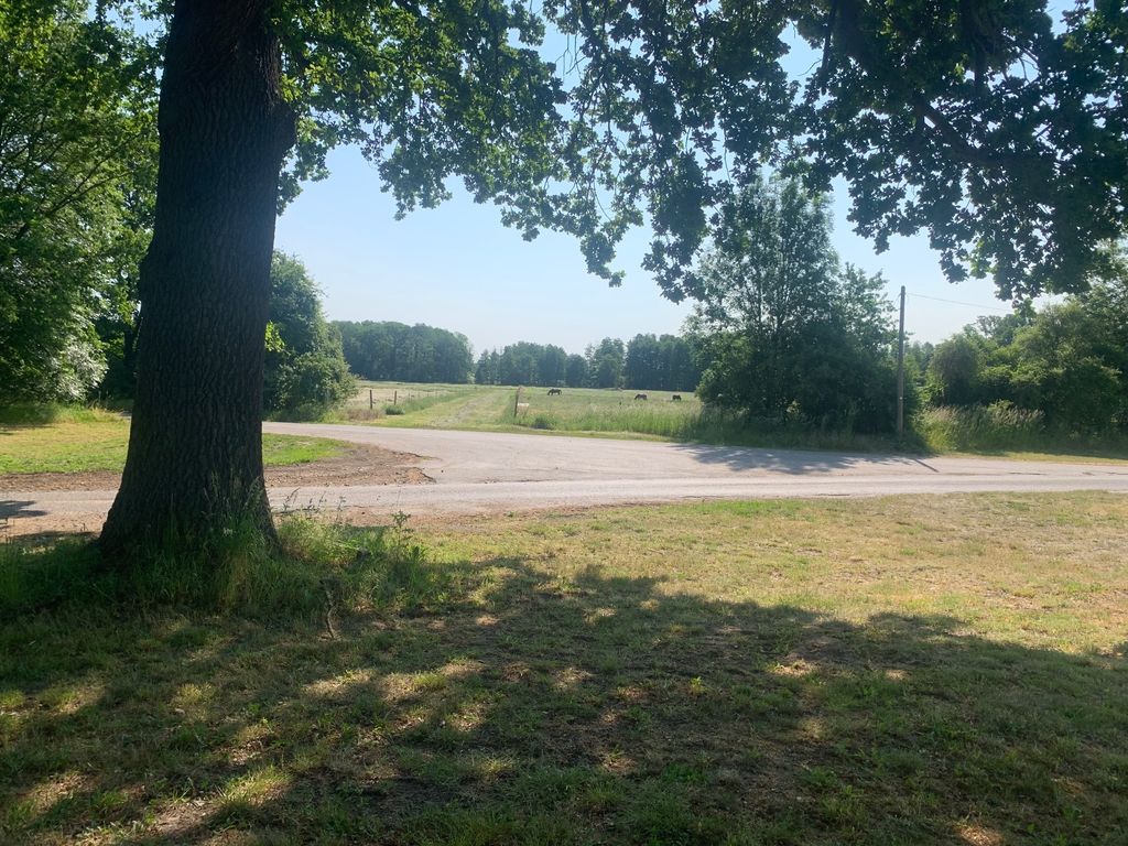 At the horse stable in the green heart of Prignitz