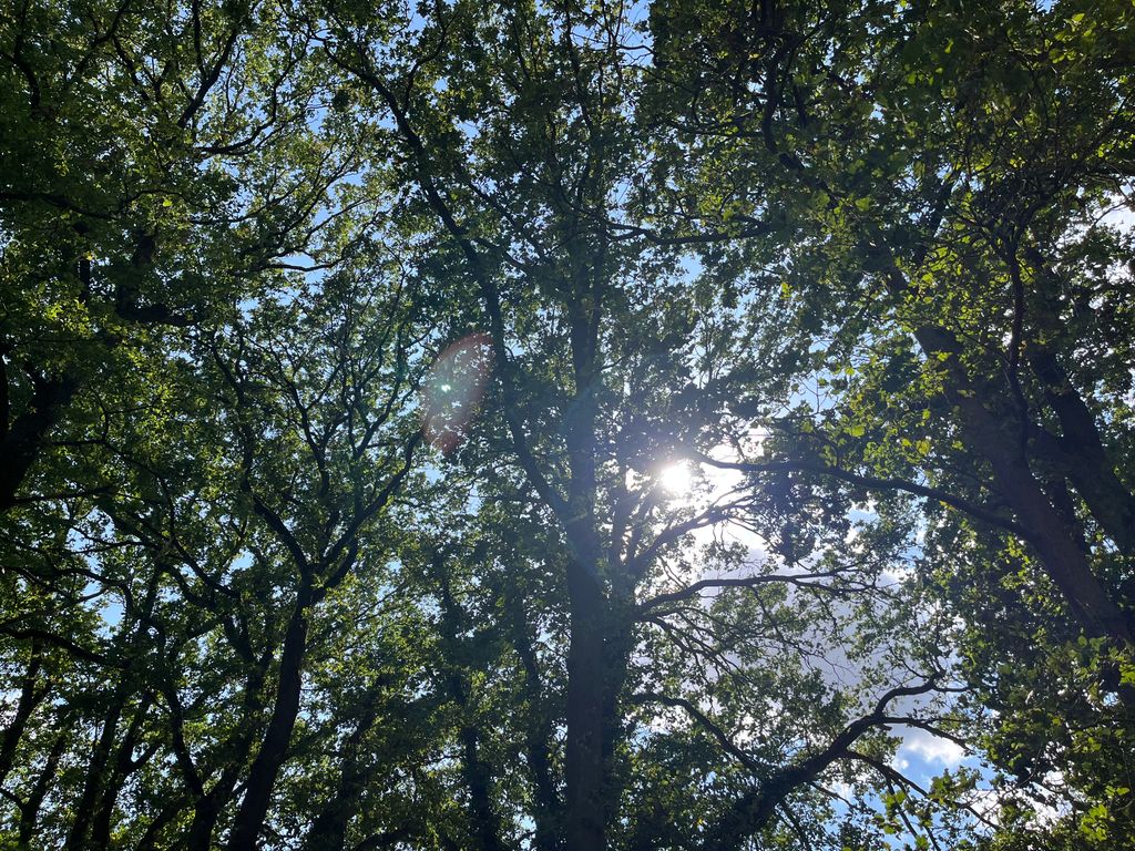 Camping « Prairie sauvage »