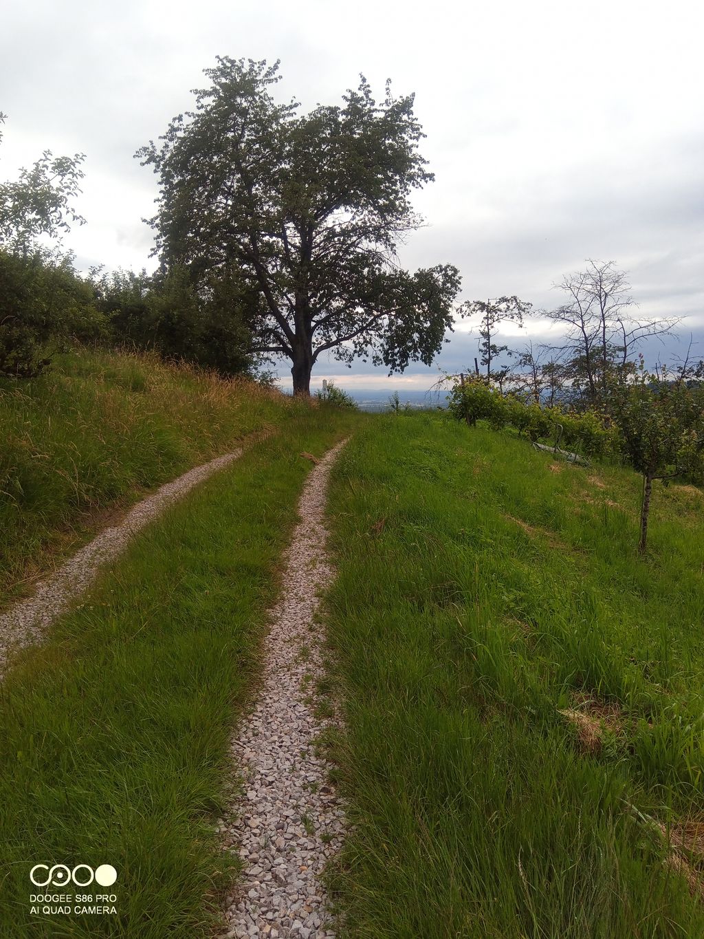 Badischer Winzer mit Blick nach Straßburg 