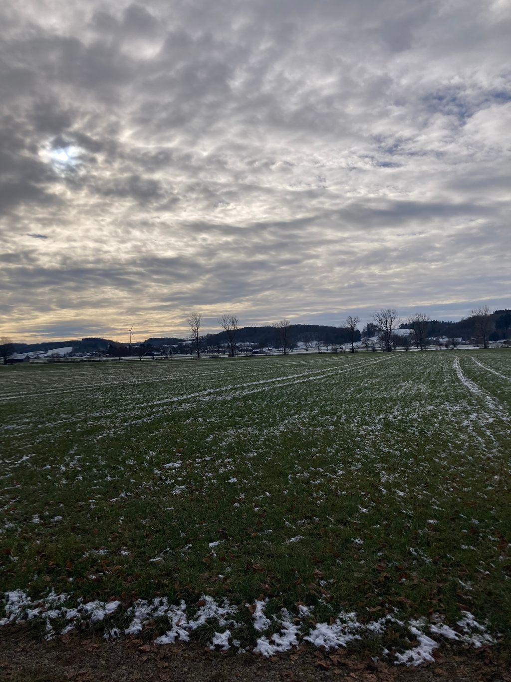 Idylle unter der Linde zwischen Wiesen und Feldern