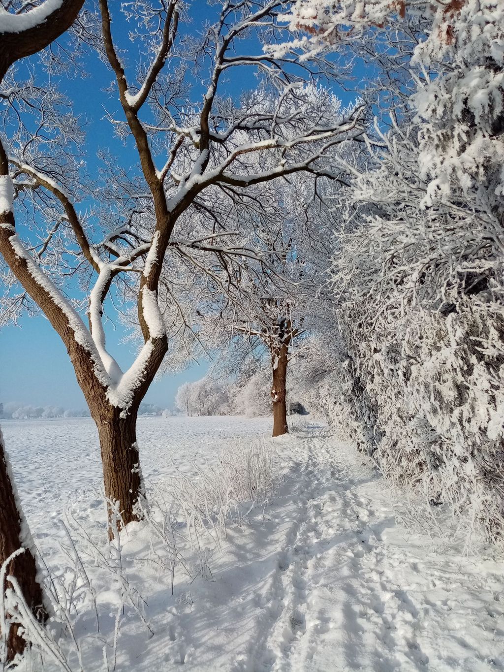 Rustikaler Bauwagen im Grünen 