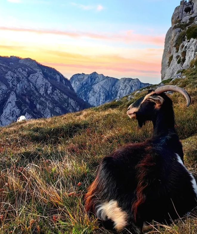 Mitten im Herzen der Picos de Europa
