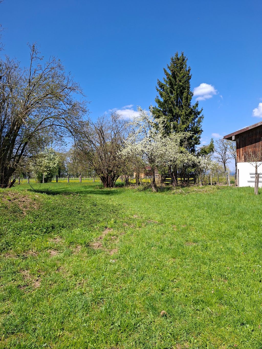A solo 100 metros del lago Chiemsee: parcela en una granja