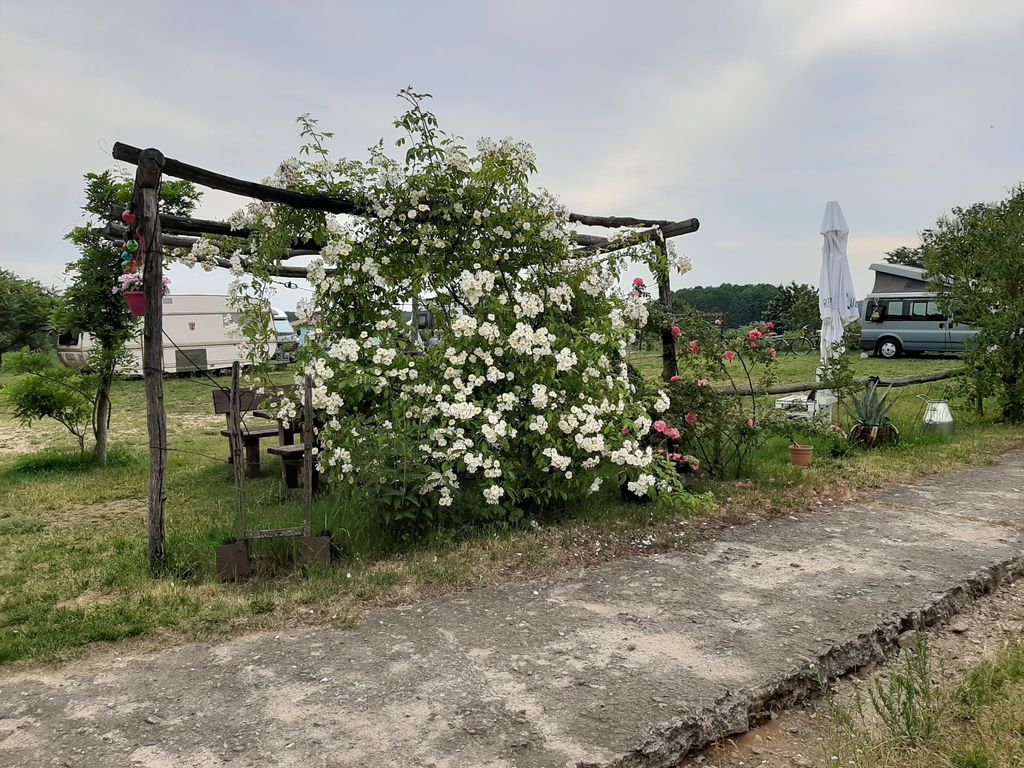 Vacations on the eco farm