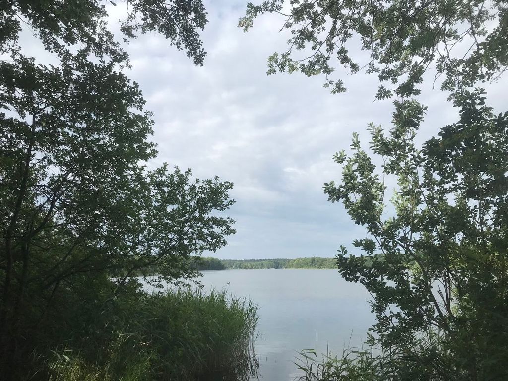 Idyllisches Stellplatz-Erlebnis mit Seeblick-Flair