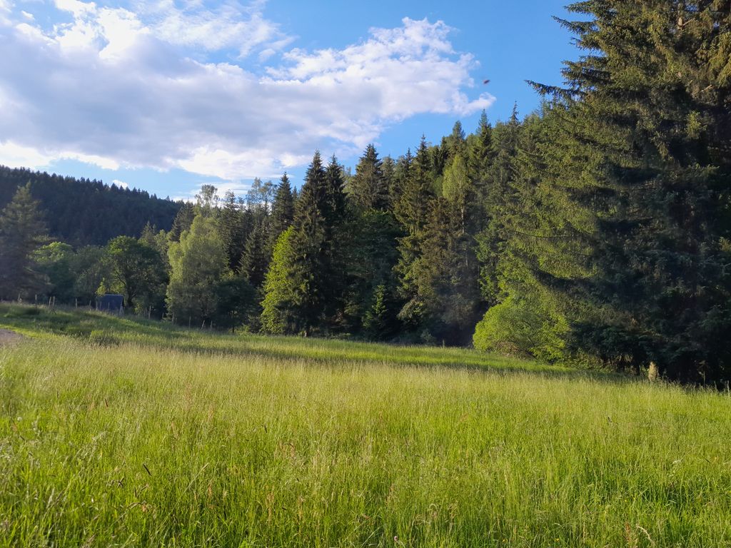 Stream and scattered settlement on the Czech border